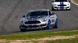 IMG_6878.jpeg