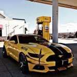 IMG_6024.jpeg