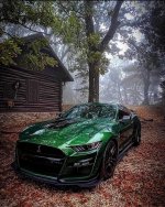 IMG_5421.jpeg