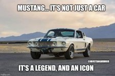 IMG_6926.jpeg