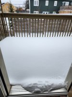 20240308_130835.jpg