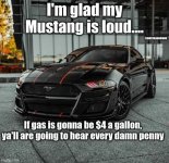 FB_IMG_1709898980783.jpg
