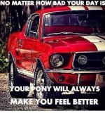 IMG_6928.jpeg