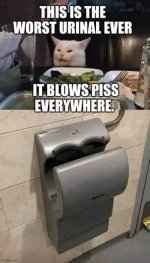 IMG_2774.jpeg