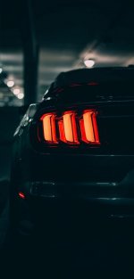 IMG_6060.jpeg