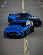 IMG_5597.jpeg