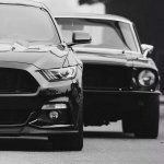 IMG_6992.jpeg