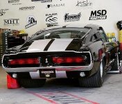 IMG_6014.jpeg