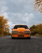 IMG_5433.jpeg