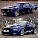 IMG_5816.jpeg