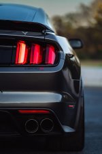 IMG_7257.jpeg