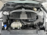 IMG_7409.jpeg