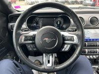IMG_7391.jpeg