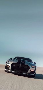 IMG_6032.jpeg