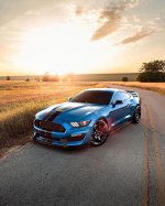 IMG_6041.jpeg