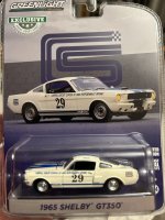 IMG_7429.jpeg
