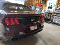 IMG_3520.jpeg