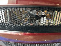 IMG_3528.jpeg