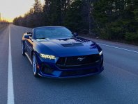 KBStang.JPG