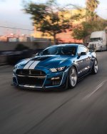 IMG_6044.jpeg