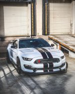 IMG_6064.jpeg
