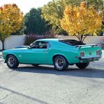 IMG_6122.jpeg