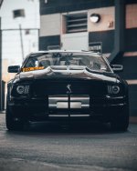 IMG_6079.jpeg