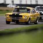 IMG_7530.jpeg