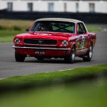 IMG_7529.jpeg