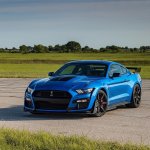 IMG_6256.jpeg