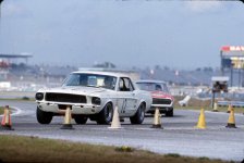 IMG_7519.jpeg