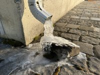 IMG_7595.jpeg