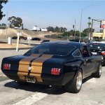 IMG_7045.jpeg