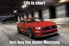 IMG_7674.jpeg