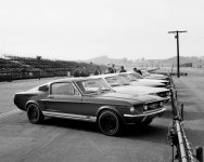 IMG_7792.jpeg