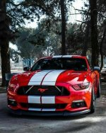 IMG_6479.jpeg