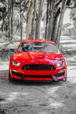 IMG_6484.jpeg