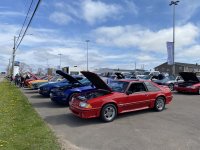IMG_7739.jpeg
