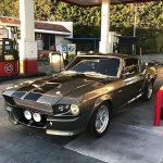 IMG_7763.jpeg