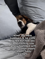 1716503429626.png