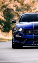 IMG_6702.jpeg