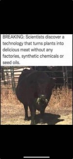 IMG_4007.jpeg