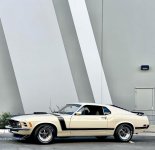 IMG_7544.jpeg