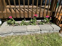 IMG_8090.jpeg