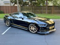 IMG_7924.jpeg