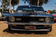 IMG_7197.jpeg