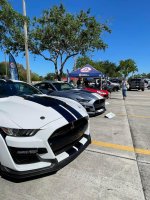 IMG_7259.jpeg