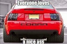 IMG_8155.jpeg