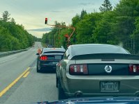 IMG_8216.jpeg
