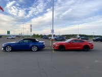 IMG_7957.JPG